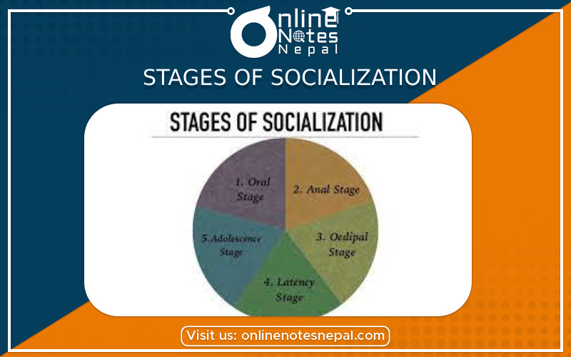 Stages of Socialization[PHOTO]